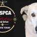 Donations Spca